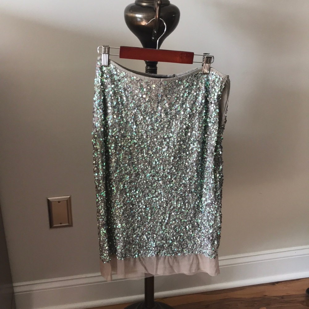 Sparkling skirt